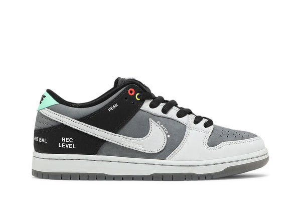 Dunk Low SB 'Camcorder'