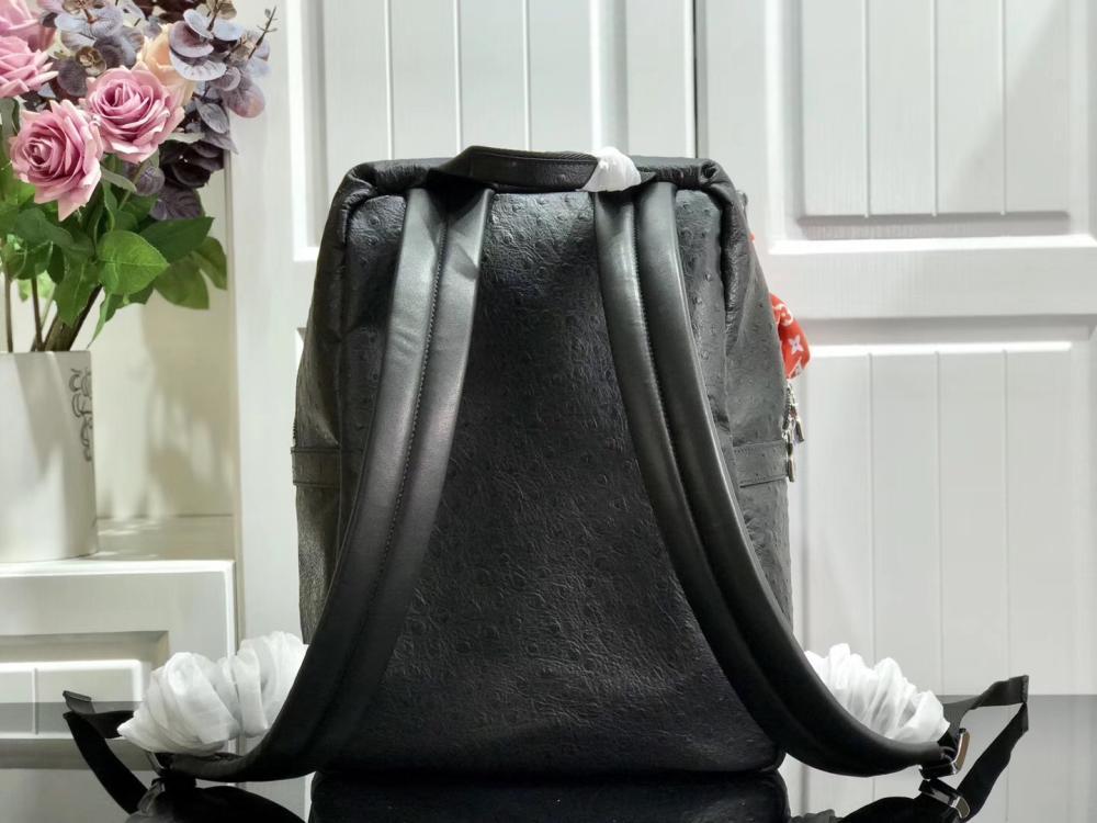 Luxury Backpack Style 395544627