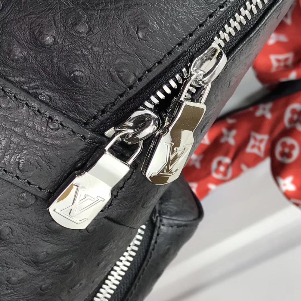Luxury Backpack Style 395544627